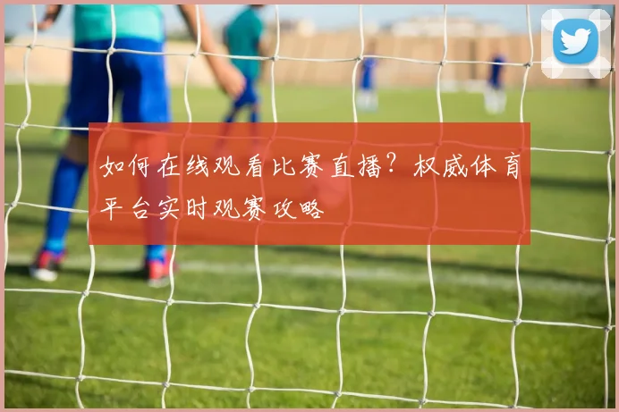 如何在线观看比赛直播？权威体育平台实时观赛攻略