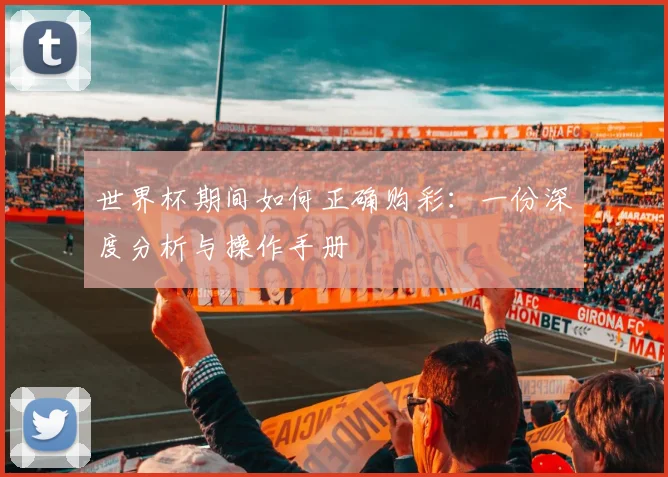 世界杯期间如何正确购彩：一份深度分析与操作手册