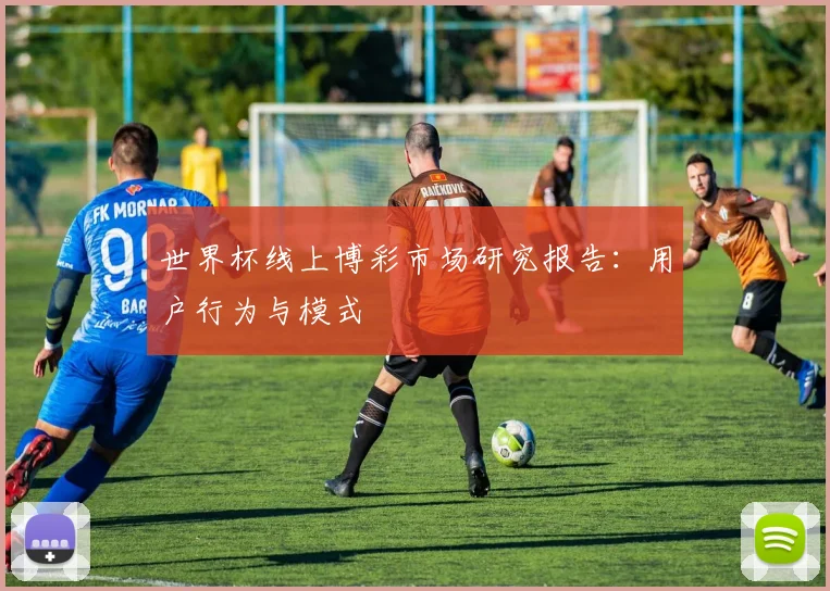世界杯线上博彩市场研究报告：用户行为与模式