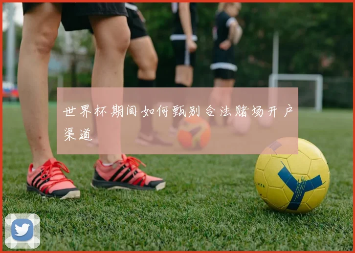 世界杯期间如何甄别合法赌场开户渠道