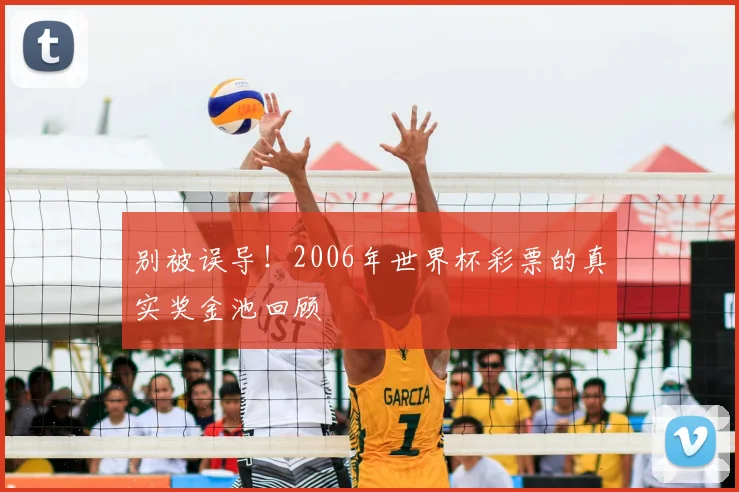 别被误导!2006年世界杯彩票的真实奖金池回顾